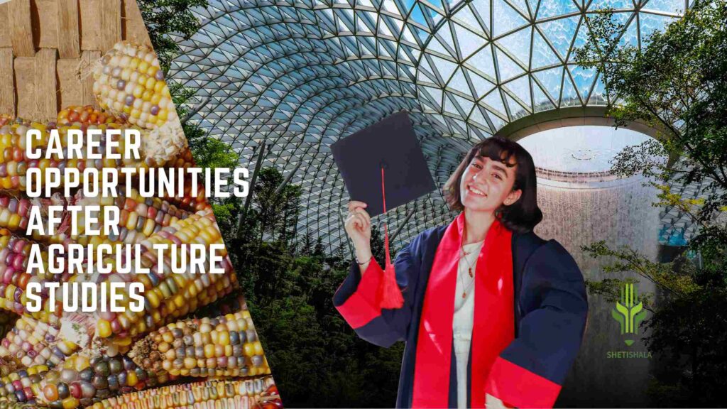 career opportunities after BSc Agriculture