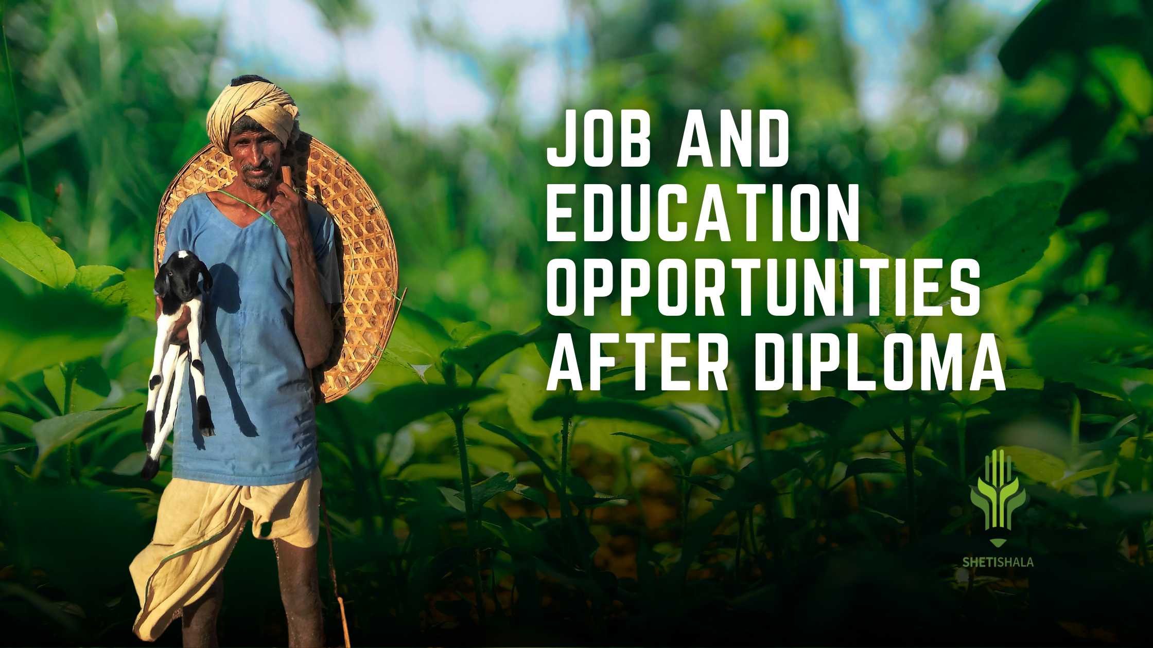 Job Opportunities after Agriculture Diploma