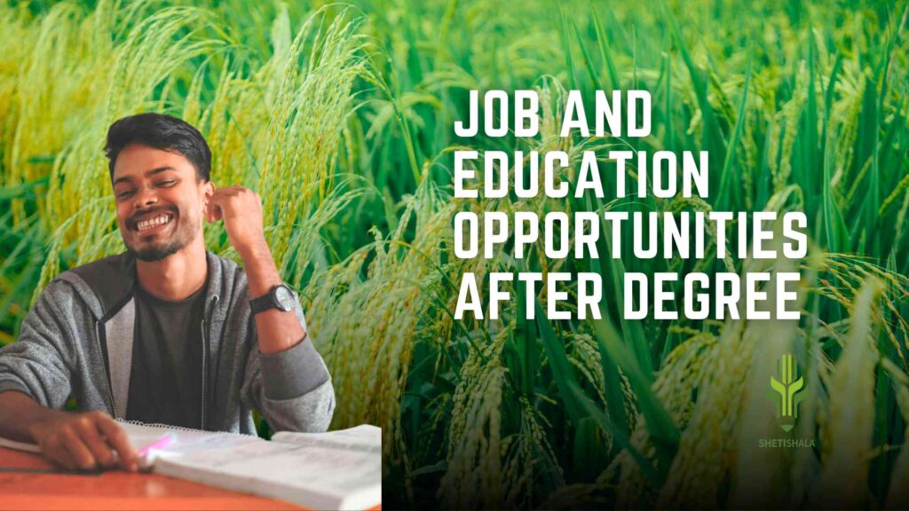 Job Opportunities after BSc Agriculture Degree