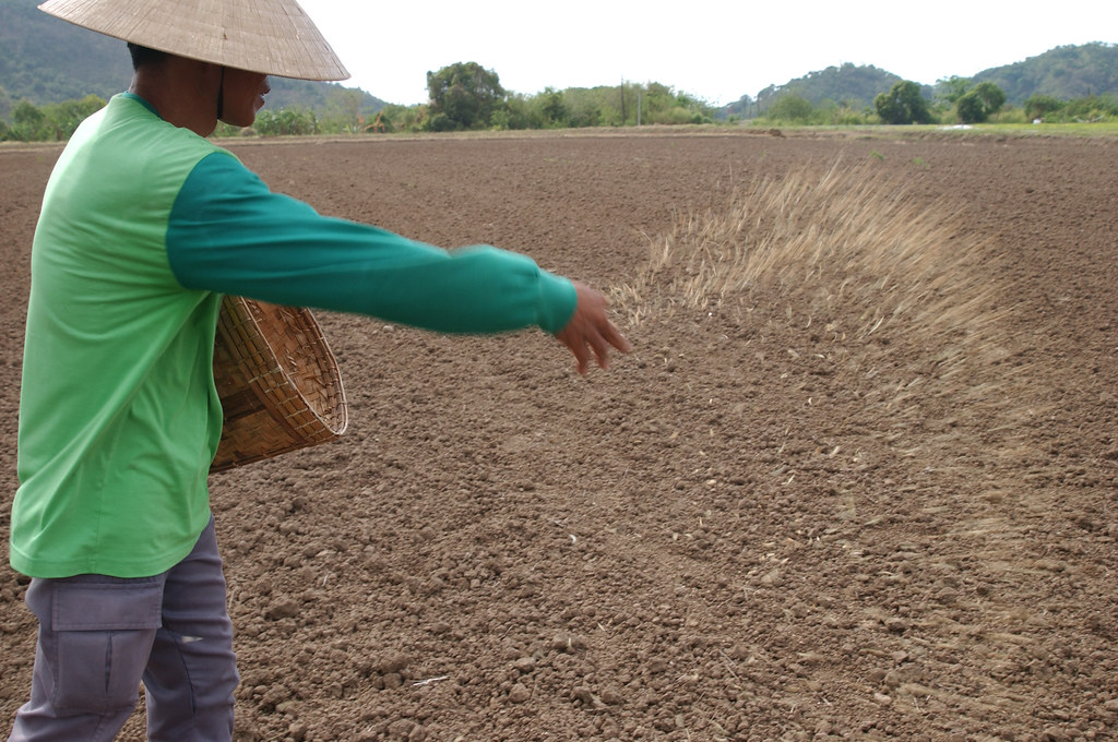 broadcasting method of sowing