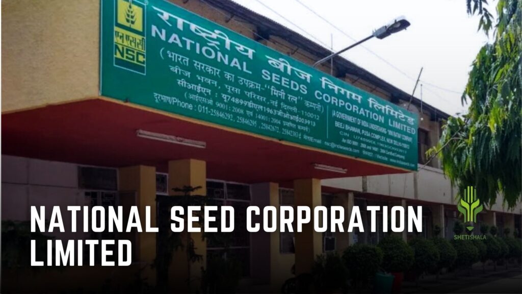 National Seeds Corporation 
