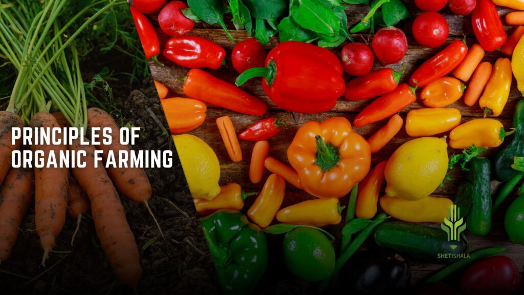 Principles of Organic Farming
