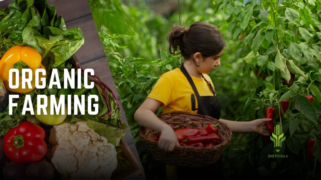 Organic farming