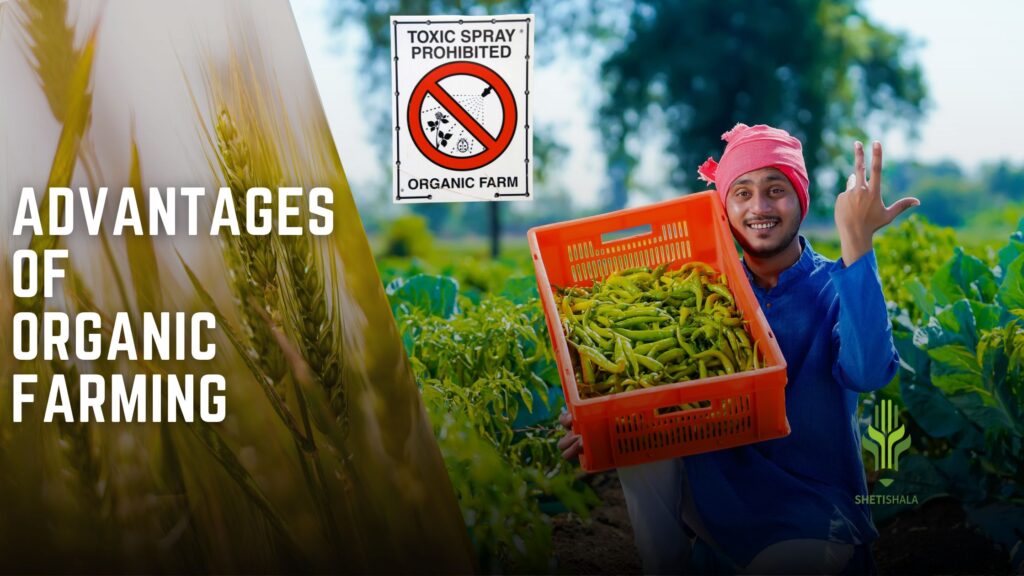 Advantages of organic farming