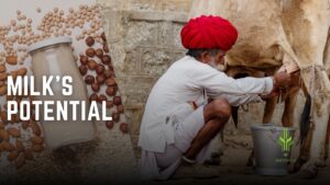 Read more about the article Unlocking Milk’s Potential