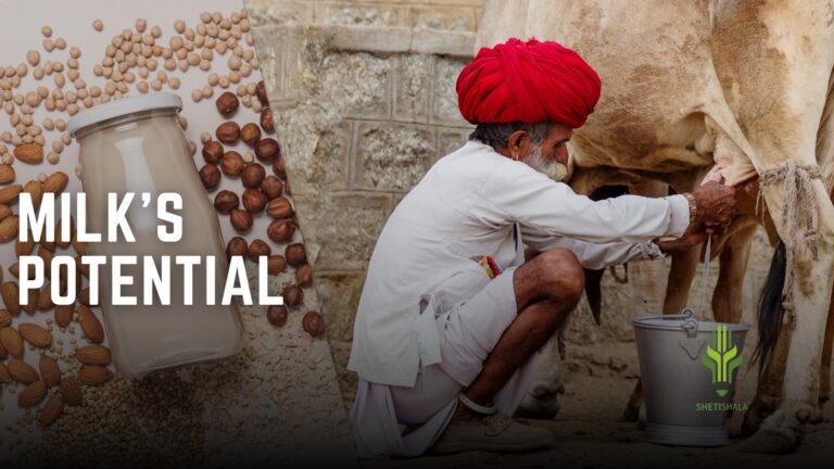 Read more about the article Unlocking Milk’s Potential