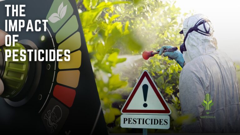 Read more about the article The Impact of Pesticides