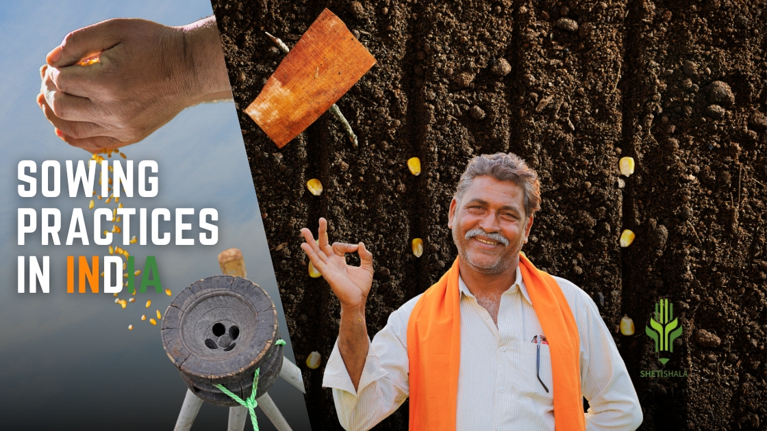 You are currently viewing Sowing Practices in India