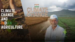 Read more about the article Impact of Climate Change on Indian Agriculture