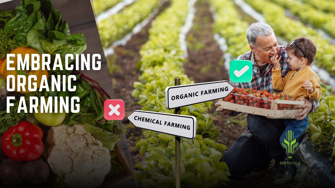 You are currently viewing Embracing Organic Farming