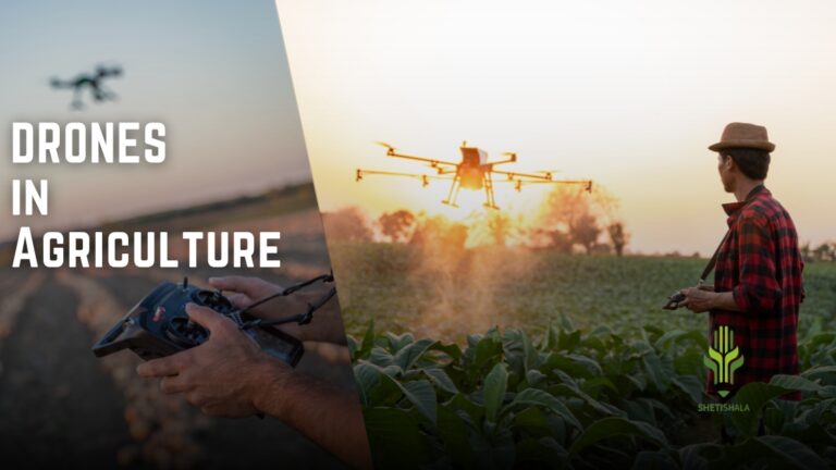 Read more about the article Drones in Agriculture