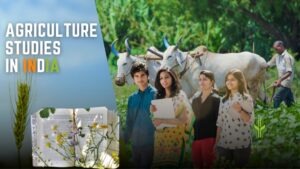 Read more about the article Agriculture Studies in India