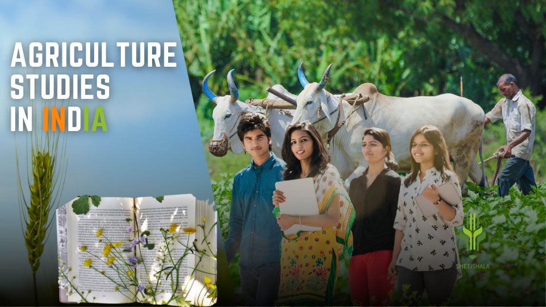 You are currently viewing Agriculture Studies in India