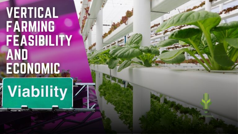 Read more about the article Vertical farming feasibility and economic viability