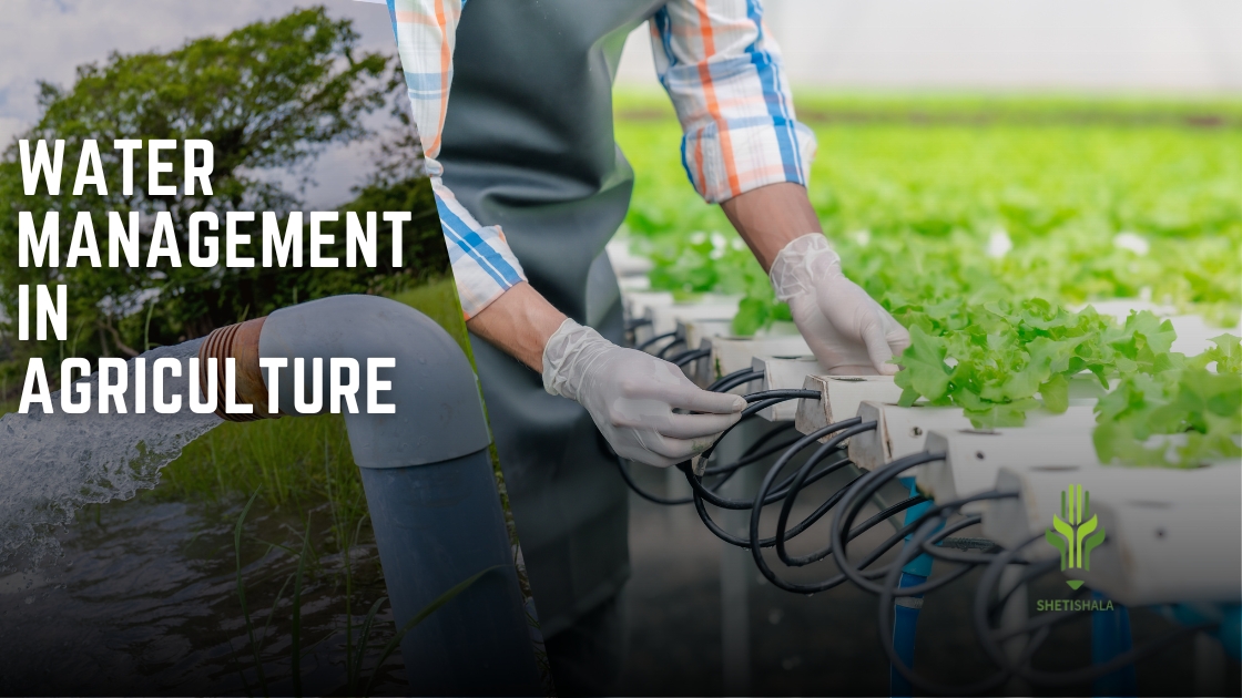 You are currently viewing Water management in agriculture