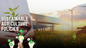 Read more about the article Sustainable Agriculture Policies