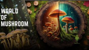 Read more about the article THE WONDERFUL WORLD OF MUSHROOM