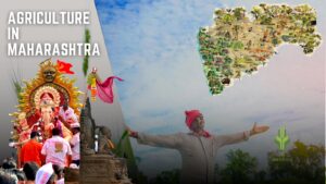 Read more about the article Agriculture in Maharashtra: A Land of Diverse Crops and Regional Specialties