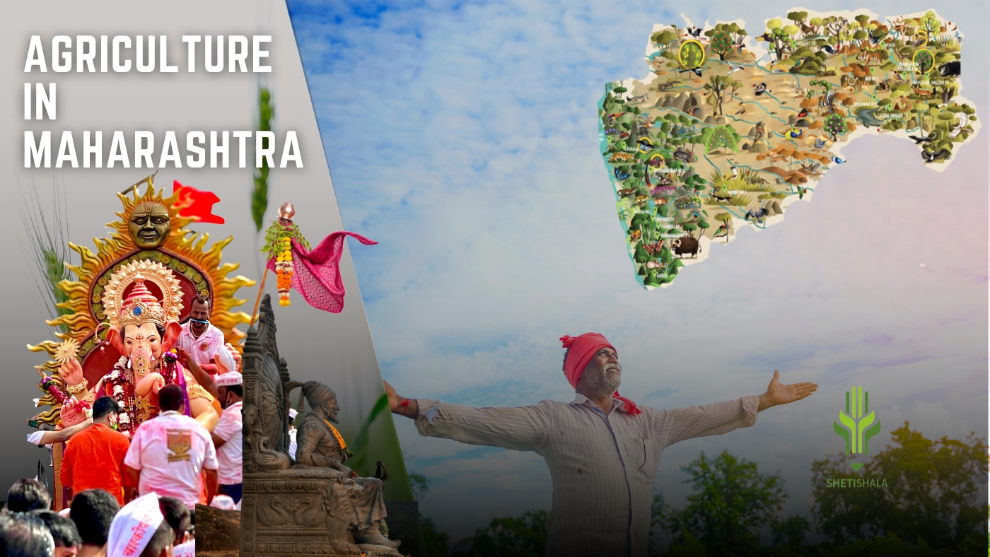 You are currently viewing Agriculture in Maharashtra: A Land of Diverse Crops and Regional Specialties