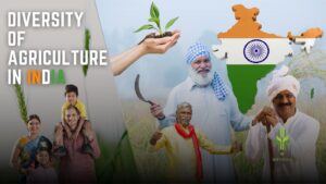 Read more about the article The Agrarian Powerhouse: Exploring the Depth and Diversity of Agriculture in India