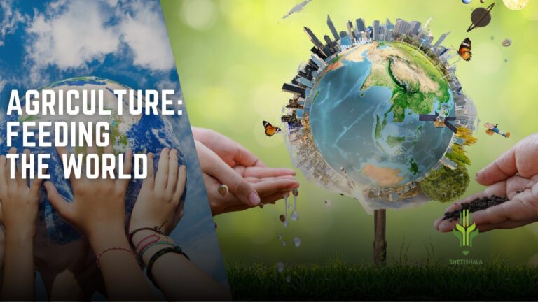 Read more about the article Role of Global Agriculture: Feeding the World