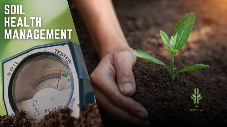 Read more about the article Soil Health Management : Techniques for maintaining soil fertility, soil testing methods, and use of organic fertilizers