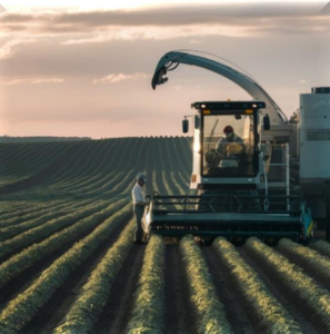 Agriculture in Developed Nations