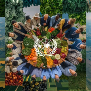 Role of Global Organizations