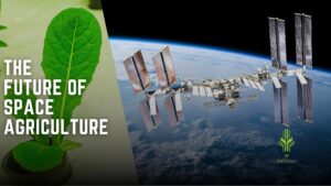Read more about the article The Future of Space Agriculture: Innovations & Earthly Uses