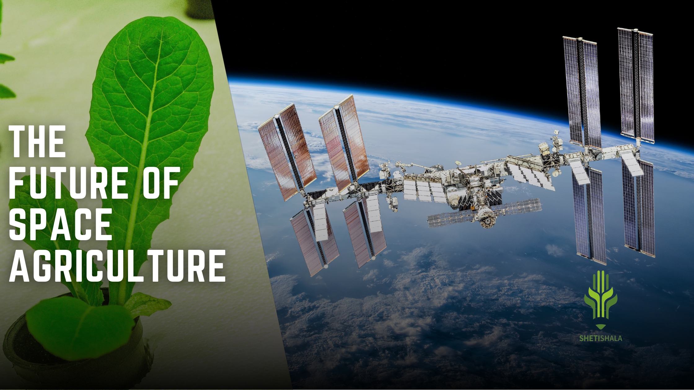 You are currently viewing The Future of Space Agriculture: Innovations & Earthly Uses